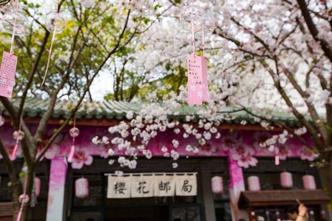 中国的春天有多惊艳这些地方告诉你答案