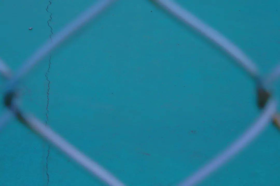 解锁河海校园里的中国传统色之美_华彩_青色_黄色