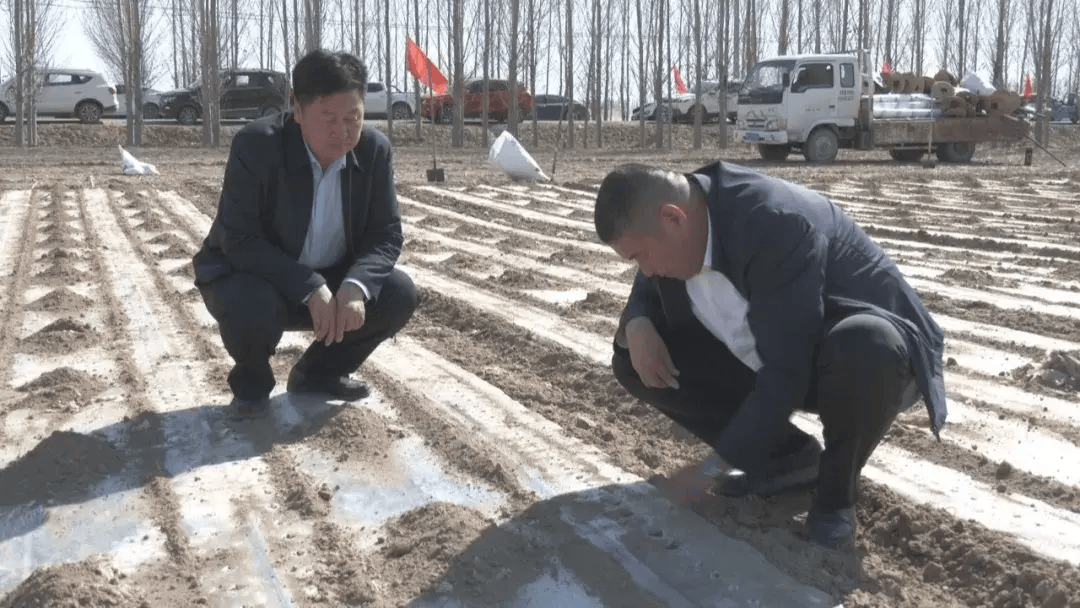 第五师双河市棉花播种工作全面展开