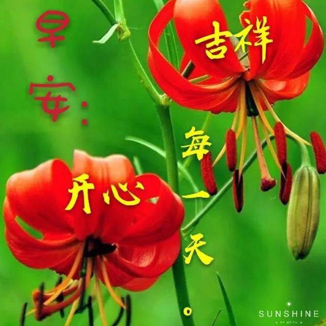 中老年表情包,天天问候,日日祝福,平安第一,健康唯一!