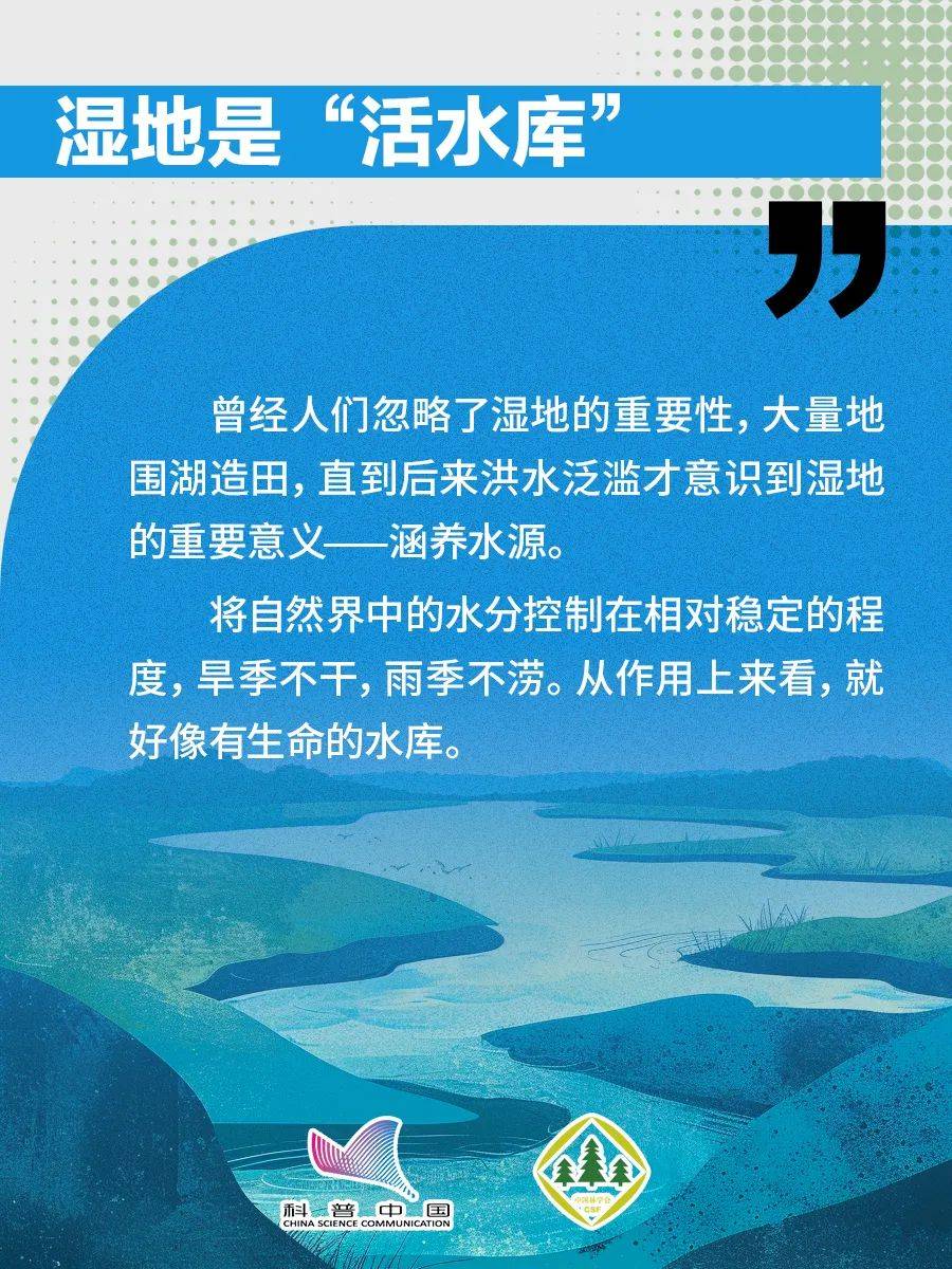 科普小知识丨湿地不止是水草地