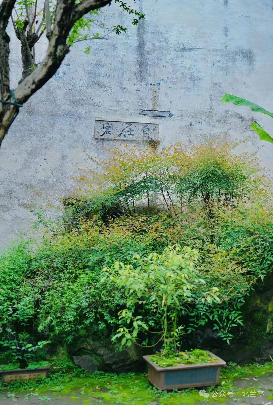 穿越千载共情共鸣