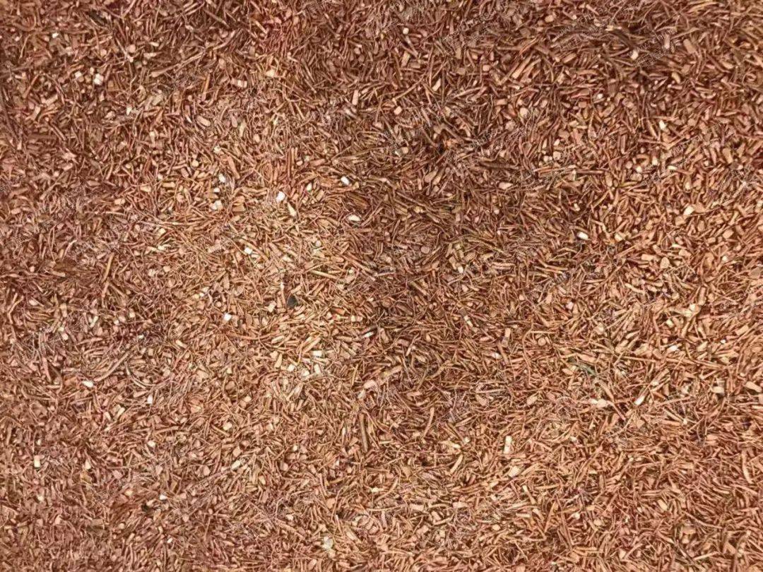 【商品检验】进口再生金属原料检验监管_要求_黄铜_进行