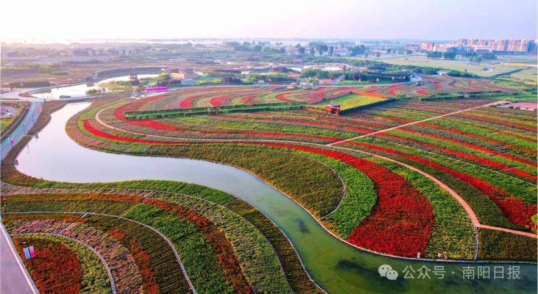 4月28日世界月季盛会将在南阳举办