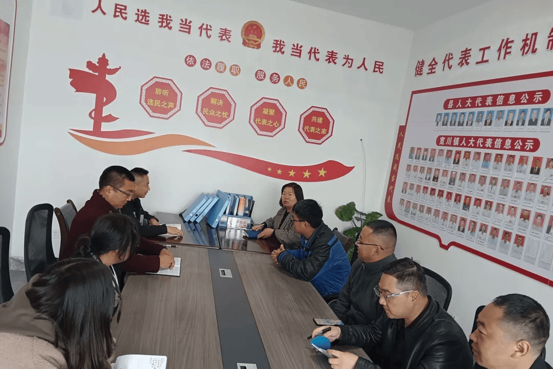 陇南各县区乡镇人大宣传月活动回顾②