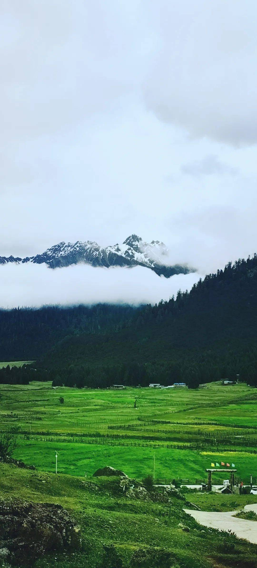 云南人探春川藏自驾8日来啦此生必驾系列