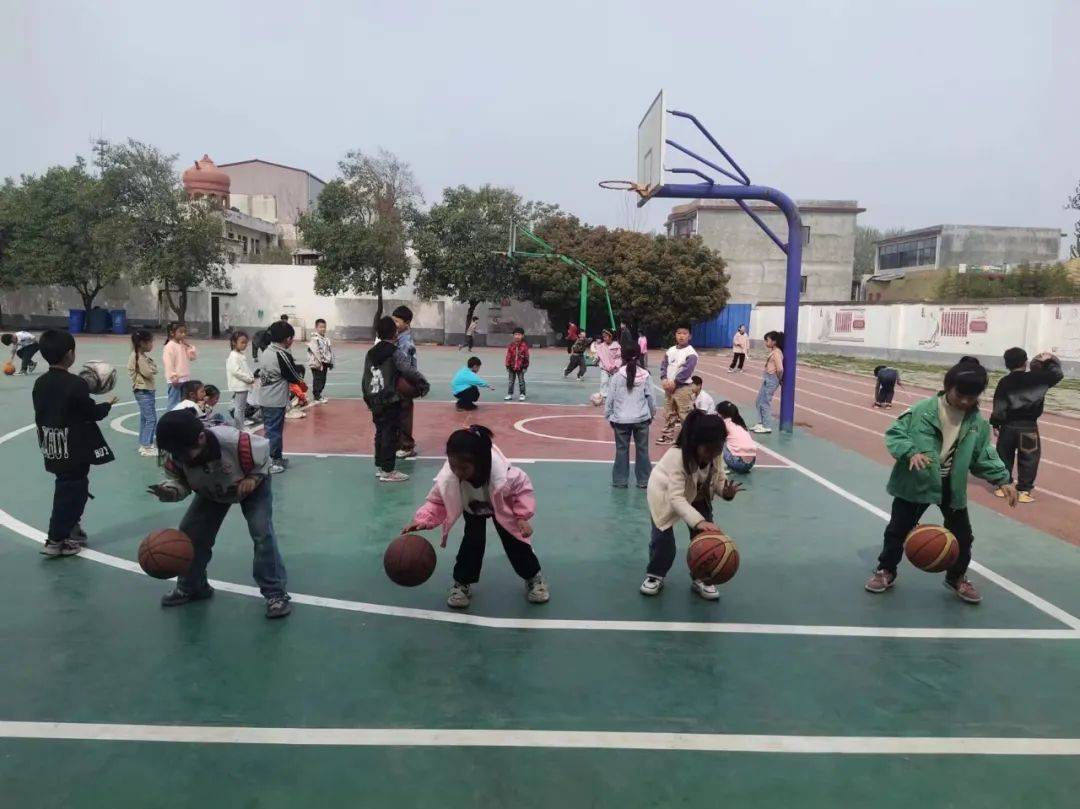 从就近就便转向就优就好郏县擘画教育改革新篇章