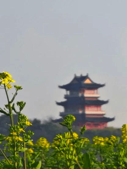 周末去哪玩踏青时节收好这份长三角春日徒步路线一起上春山
