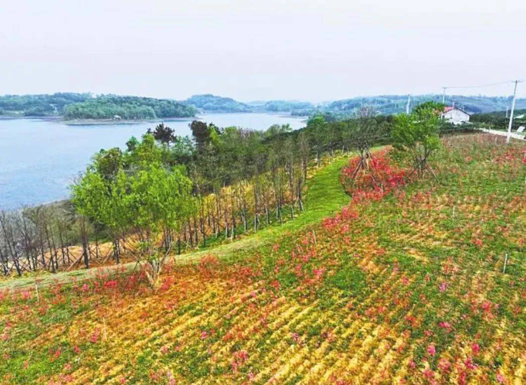 中省媒体看新区漳河水库戴上绿围脖