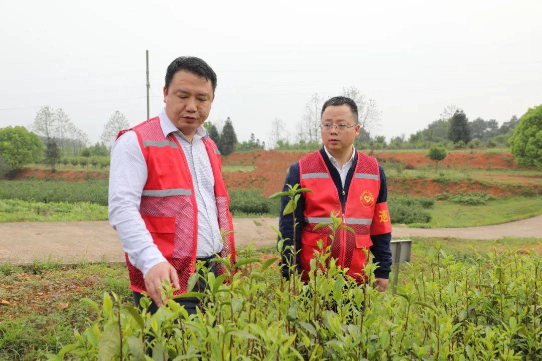 龙亮督导调研春耕生产,道路交通安全等工作并开展巡林