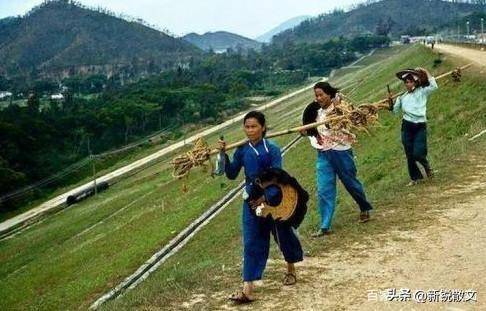 犯红煞的女人刚举行完婚礼送亲车的青骡子就倒在地上死了