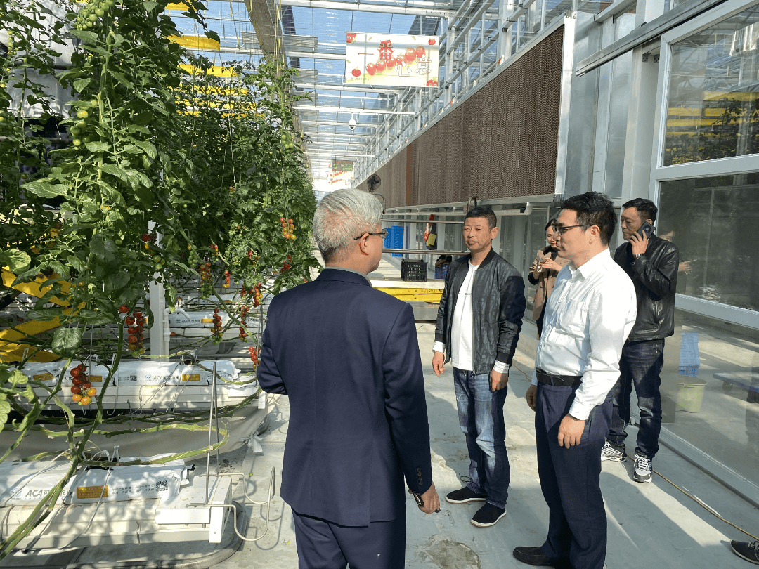 回顾嘉善发改这一周48413