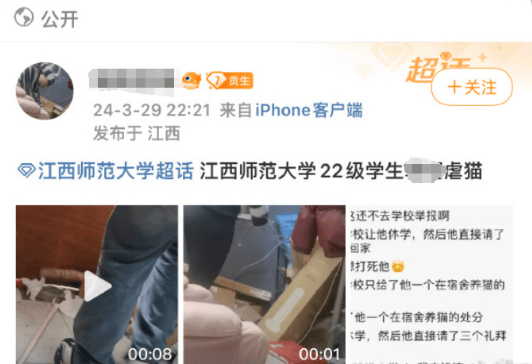 江西师范大学虐猫学生被开除学籍