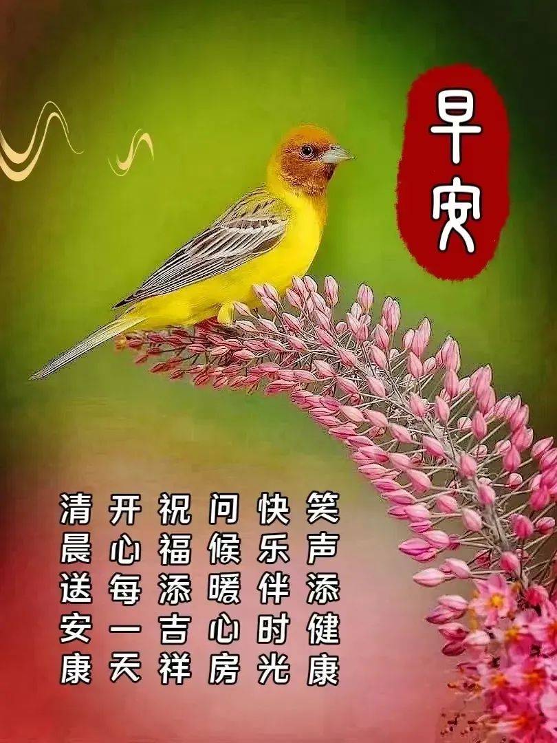 2024年4月13日最新早上好祝福语图片大全唯美早安温馨问候集锦