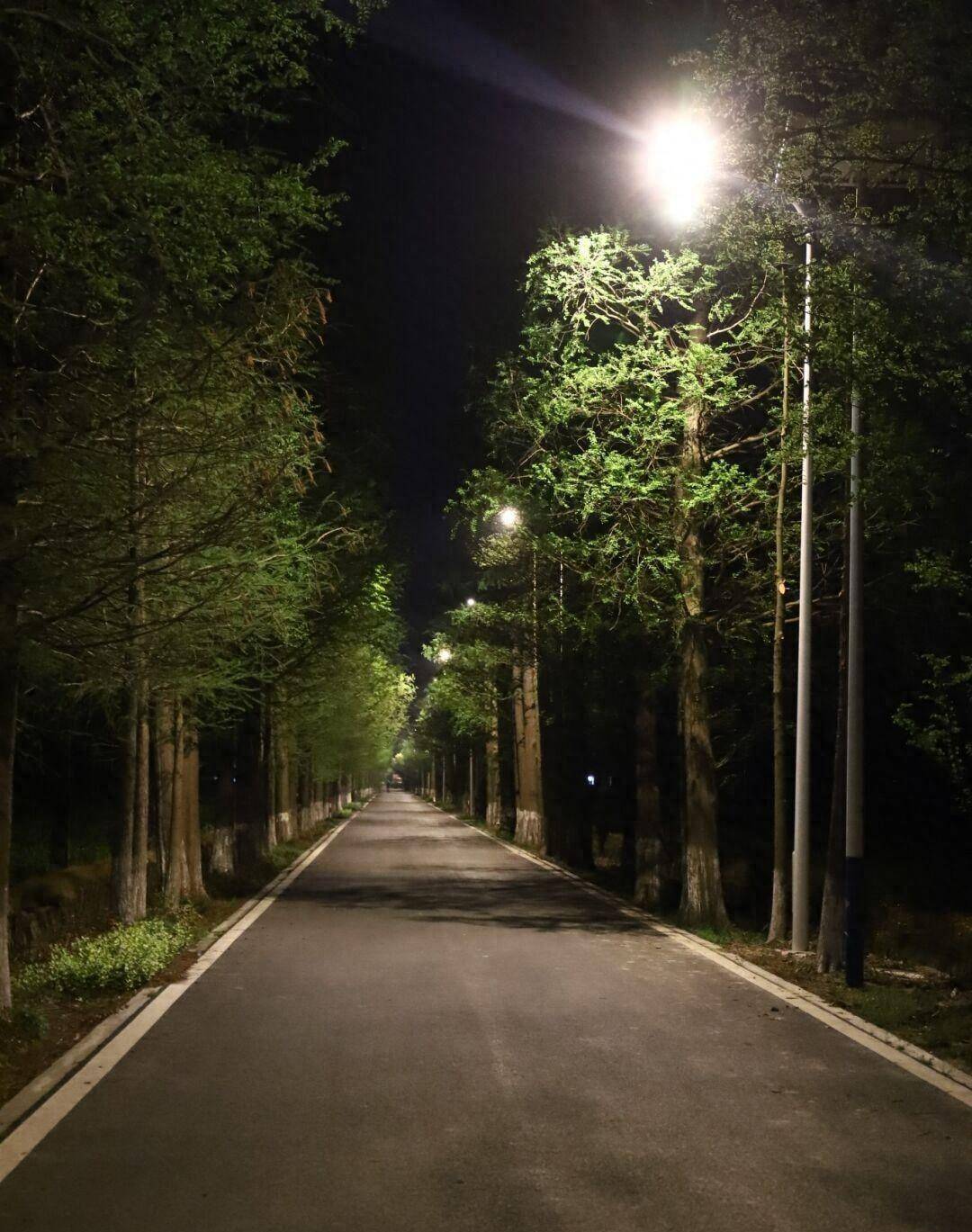 解读太阳能路灯价格变化与市场动态