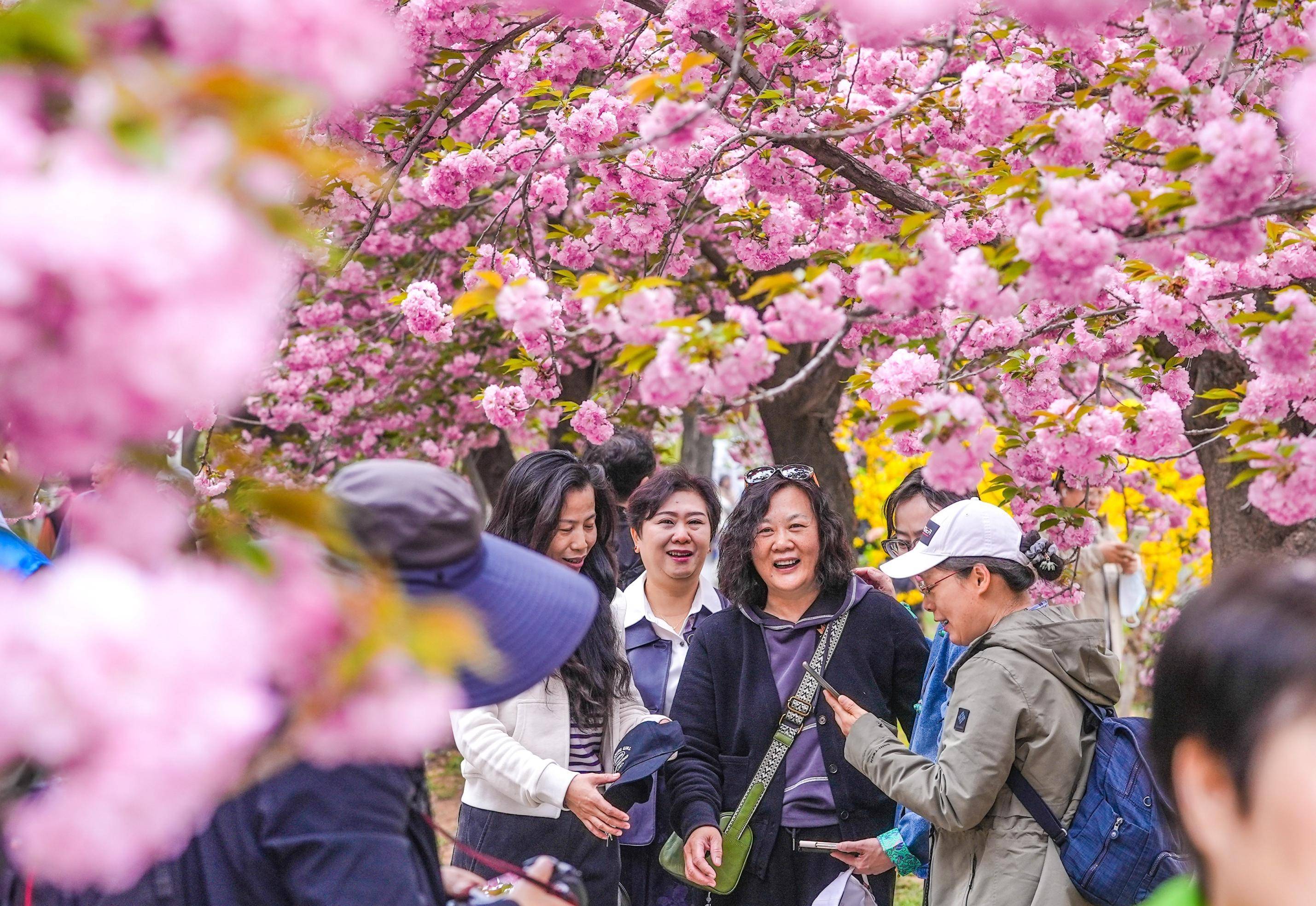 北京顺义赏花图片