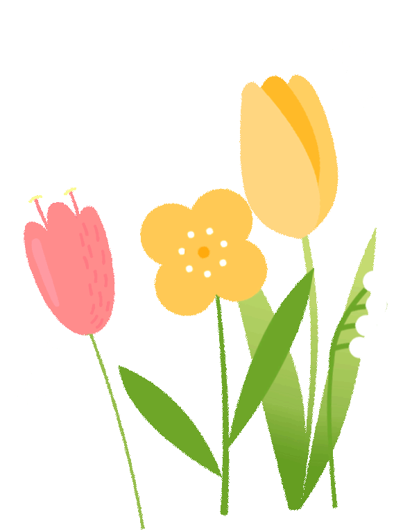 春日播种计划进行时快来培育你的种子选手吧