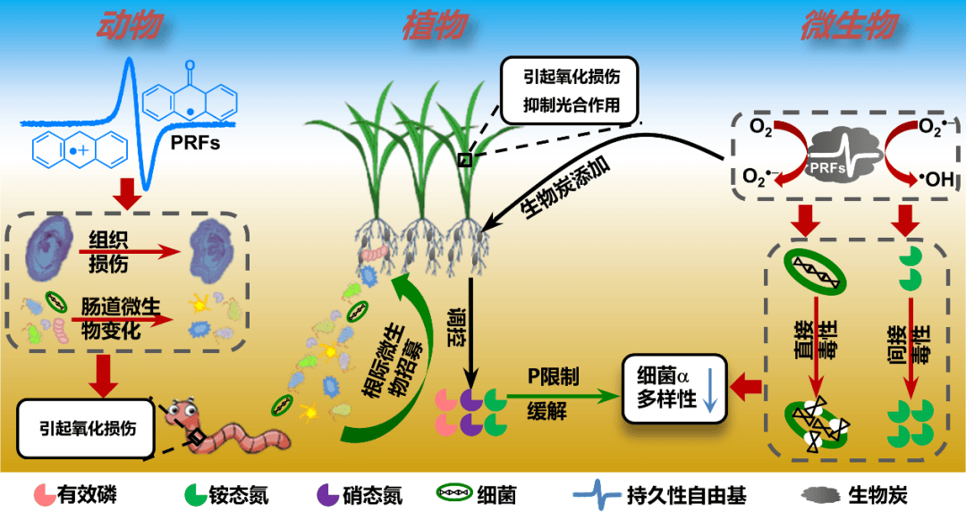 喜报我校8项科技成果获2023年度陕西省科学技术奖