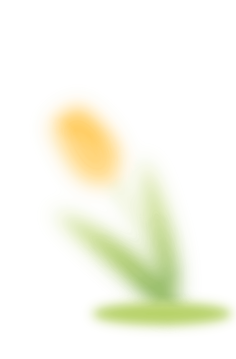 春日播种计划进行时快来培育你的种子选手吧