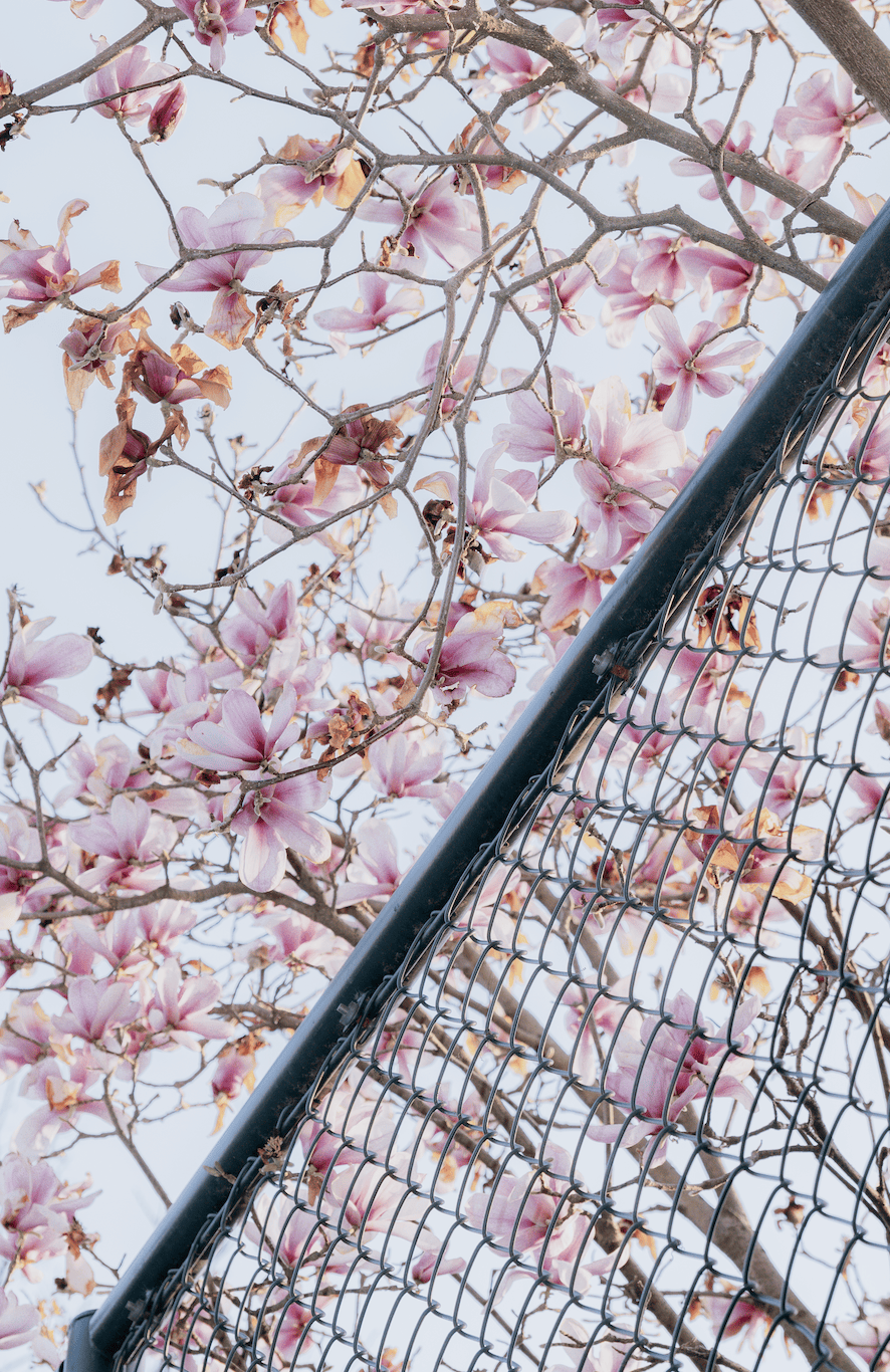 嘀嘀同学们请注意贵州高校校花pk正式开启你更pick哪一个