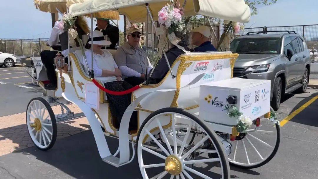 费城泳池救生员正在招聘中, 起薪$16/小时; 电动"马车"亮相皇后村