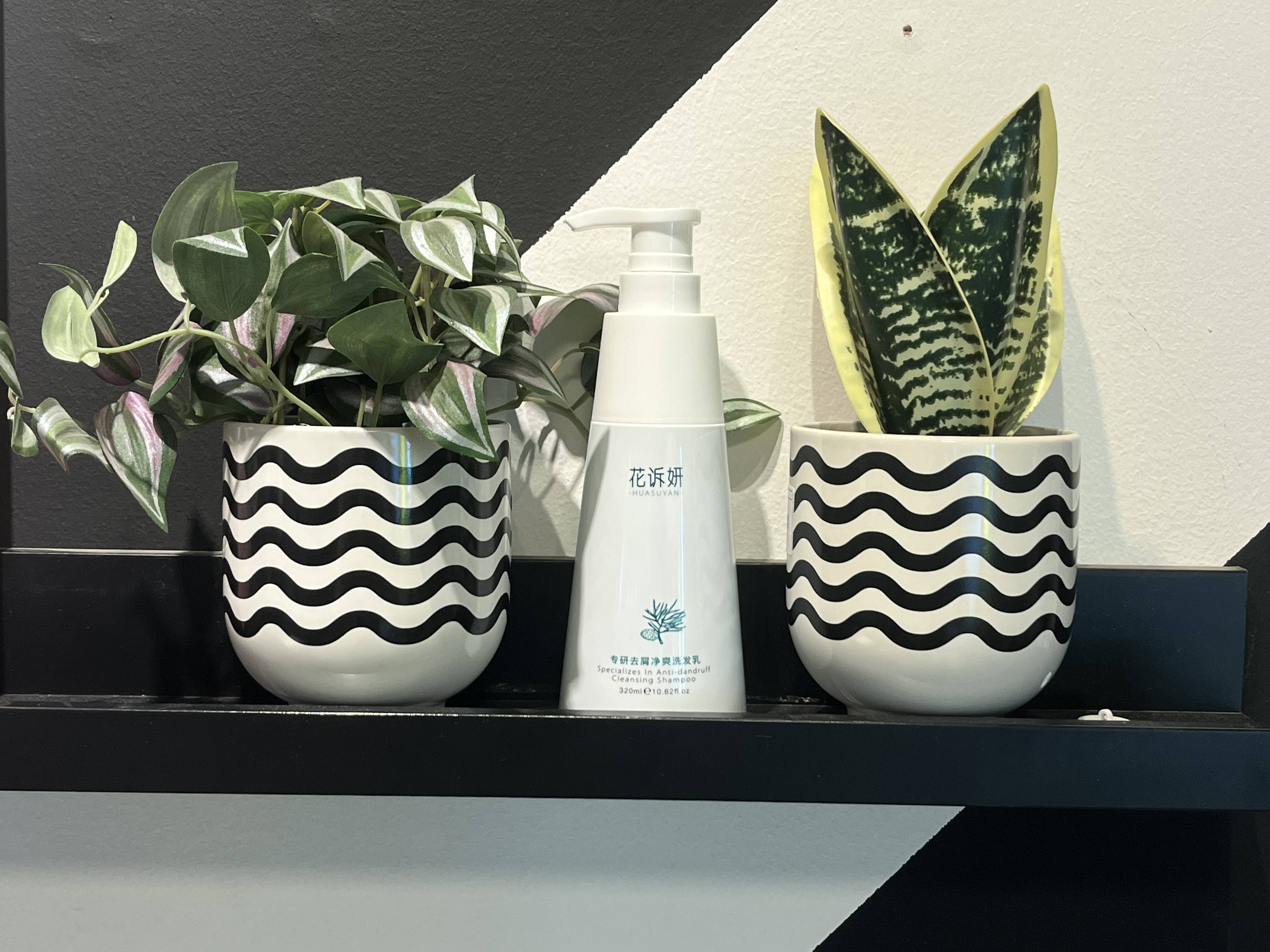 想要告别头痒痒这款洗发水有止痒功效