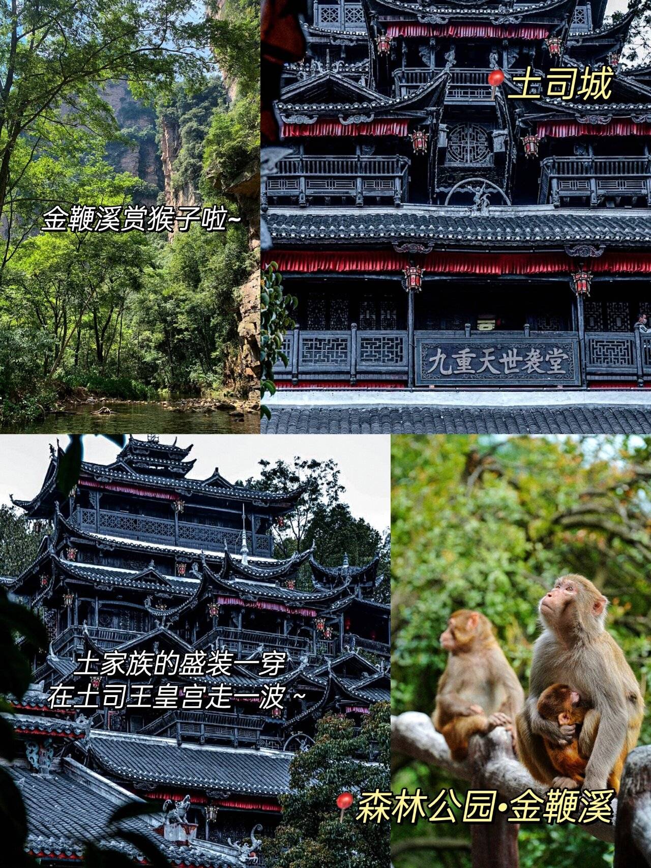 四月初期间,酒店住宿费用就要每晚500元,还不包括吃住行和门票等其他