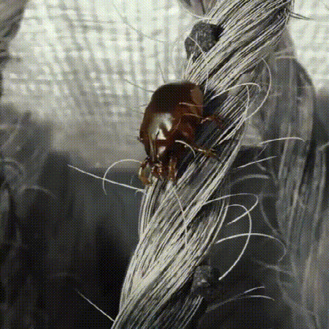 墙上插上它24小时物理除螨让千万螨虫集体自杀