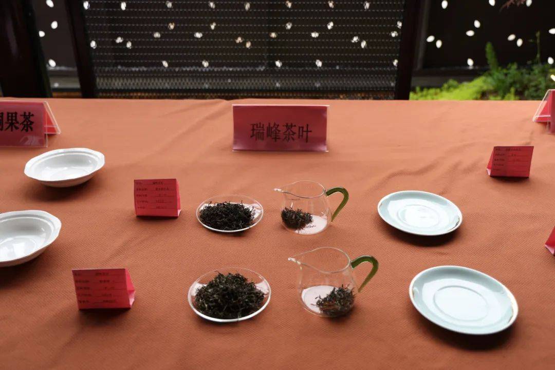 赤壁市第二届"百家茶馆进茶园暨春茶品鉴交易会"成功举行_茶叶协会