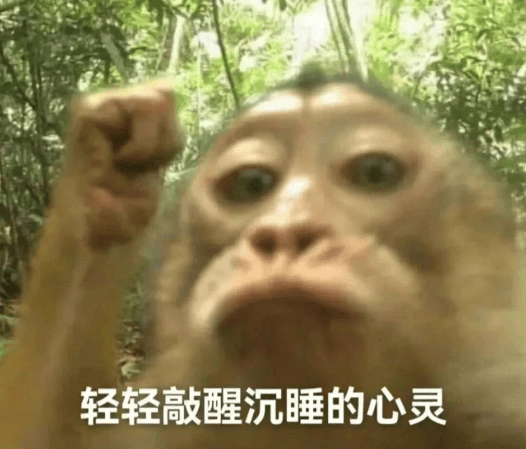 2024新型精神状态淡人vs浓人你是哪个