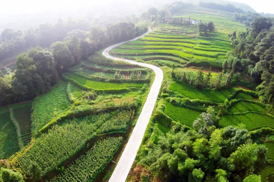 四好农村路十周年江安县深入探索建管养运打造县乡村三级物流体系