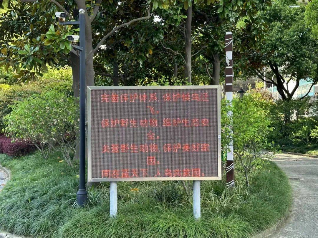 区绿化中心通过在公园电子屏投放"爱鸟周"宣传标语,鼓励市民们参与爱