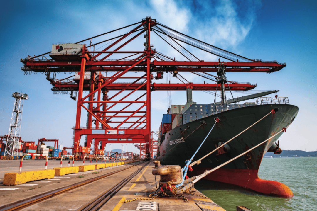 宝安大铲湾片区→宜居宜业生态岛_深圳_港口_数字化