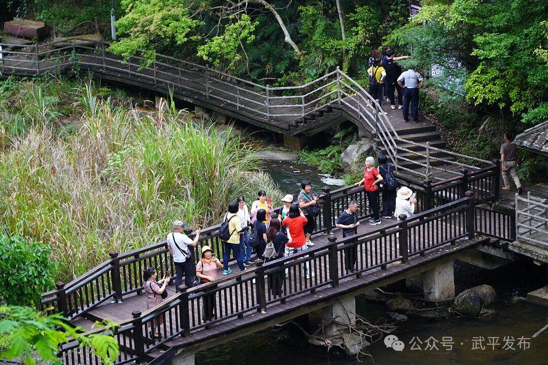 引客入武模式开启他们尽享武平山水风光
