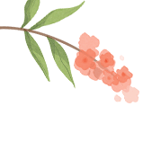 未央教育61大明宫小学教育集团61大明宫小学大明宫