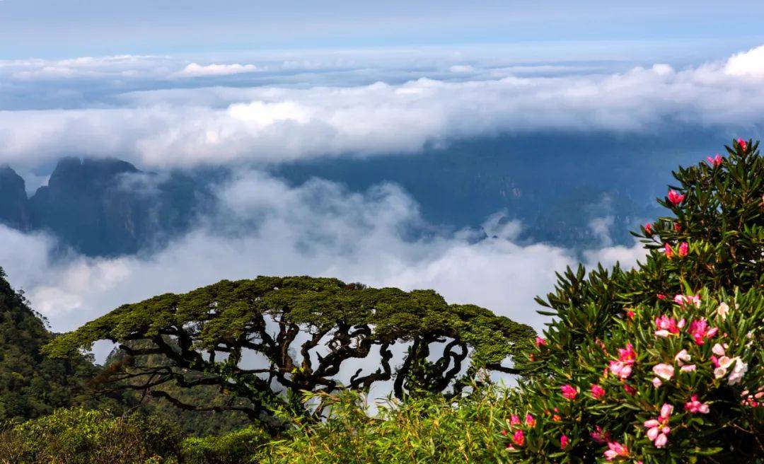 圣堂山风景区门票图片