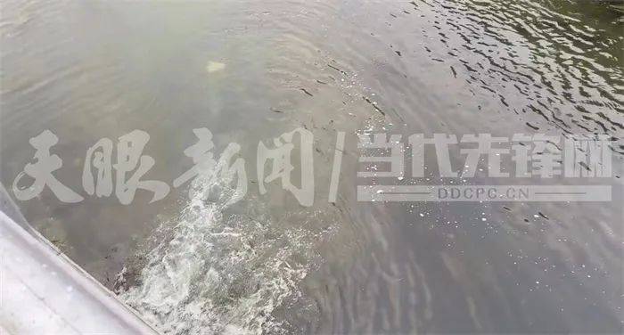 贵阳南明河有绿色污水排入职能部门回应