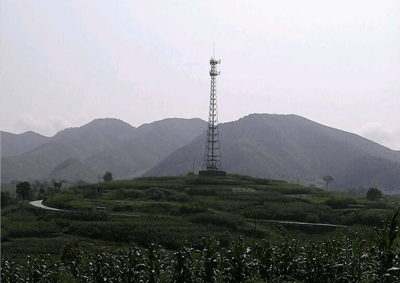 我的老家在沔县东南隅镇川一个名为"黑鹰窝"的小村庄,隔分水岭为南郑