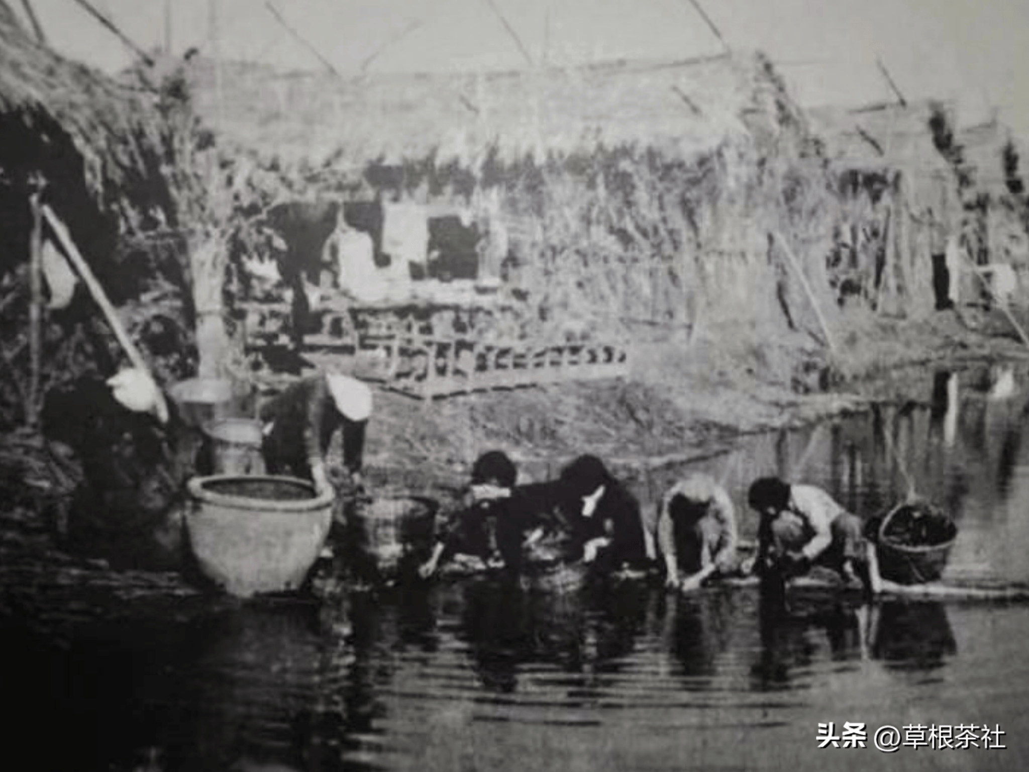 上海知青忘不了的崇明新海农场,已有六十六个年头
