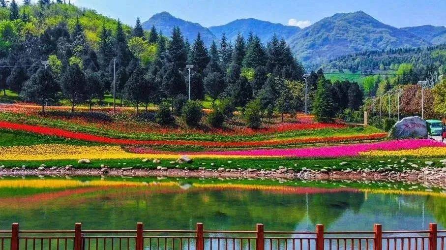 秦岭植物园.西安城市观光车.朱雀.太平.楼观等二十多景_景区_终