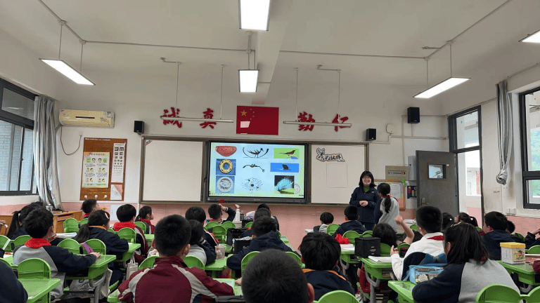 教学视导重知行学科研修助成长记金陵小学迎区教师发展中心教学视导