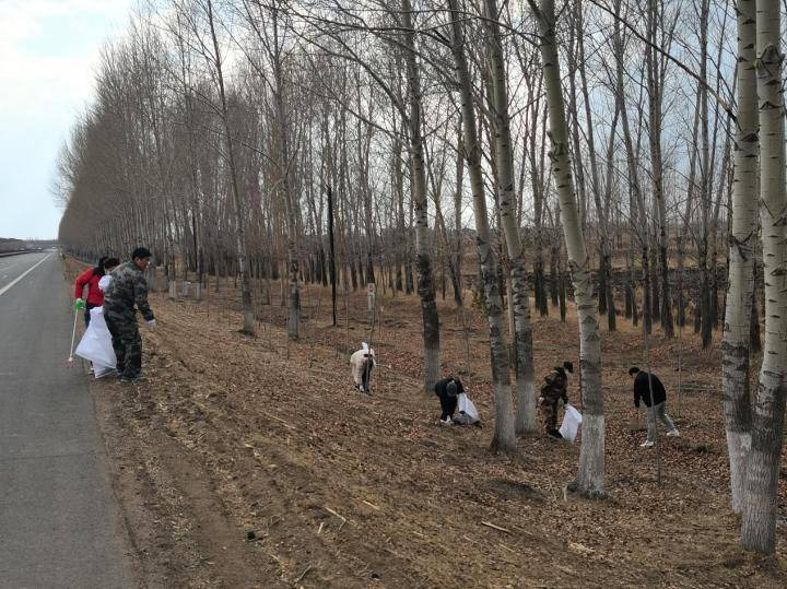 同江市向阳镇环境整治齐发力和美乡村展新颜