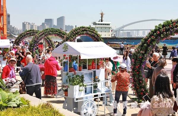 申城无处不飞花，上海（国际）花展今天上午开幕