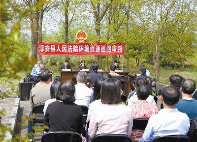 4月15日,浙江省淳安县人民法院在汾口镇武强溪流域湿地,巡回审理一起