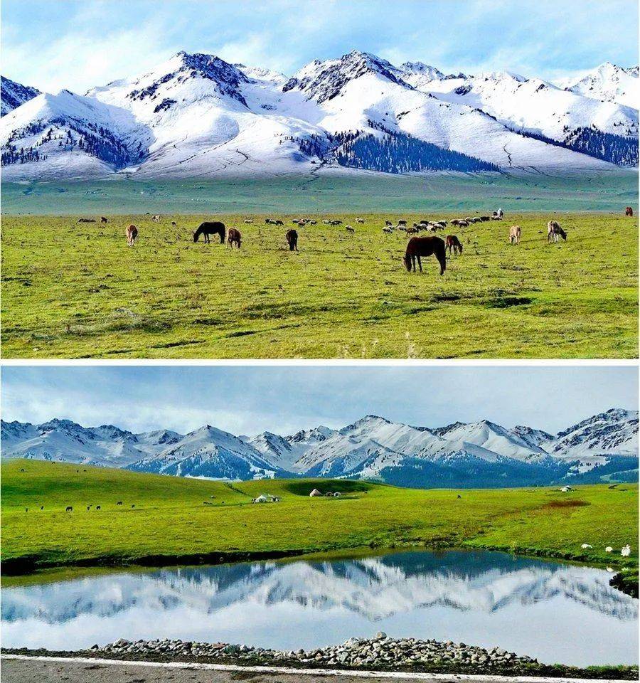 那拉提草原新疆位于新疆博尔塔拉州博乐市境内北天山山脉中,是新疆