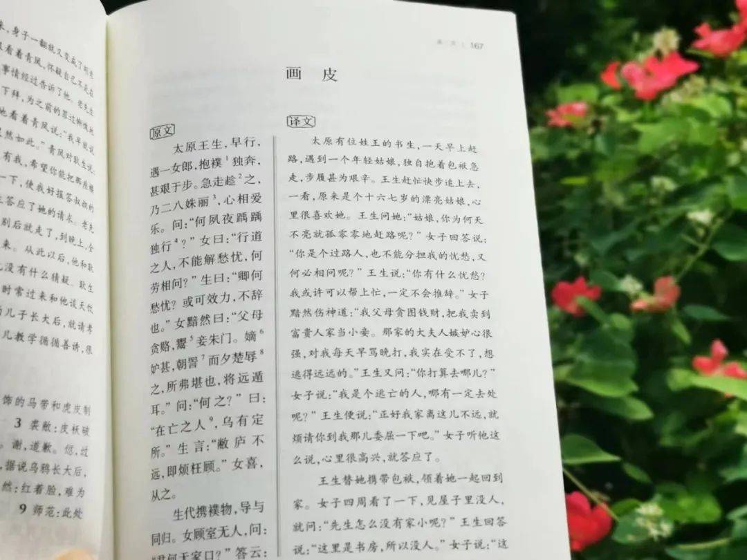 聊斋里的故事脍炙人口深入人心早已成为几代人抹不去的童年记忆