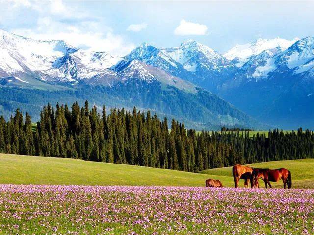 地理》杂志那拉提草原新疆位于新疆博尔塔拉州博乐市境内北天山山脉中