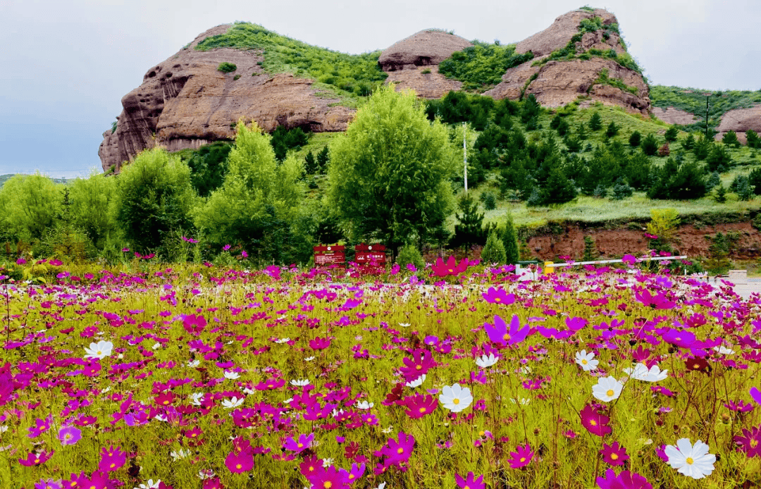 集红色,绿色,古色,特色于一体的固原,一定会给你的五一带来不一样的