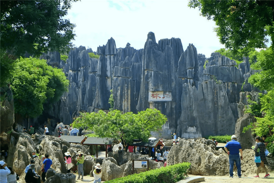 云南人专享,80元可无限次游石林一整年!