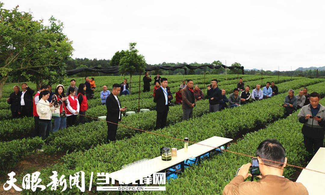 湄潭三新数字农业科技有限公司:把直播开在有机茶园里